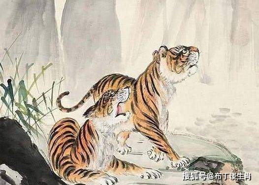 八面玲珑金光瑶,左右逢源紫气丹指什么生肖,警惕虚假宣传、全面解答、实证解答解释落实